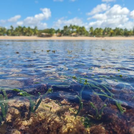Laus Bangalos Experience - Piscina Privativa - Praia De Algodoes - Peninsula De Marau - Bahia Praia dos Algodoes 外观 照片